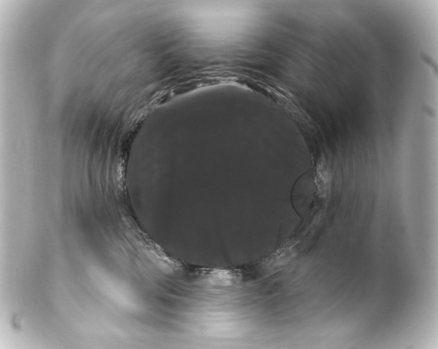 X0000100200330200806271647