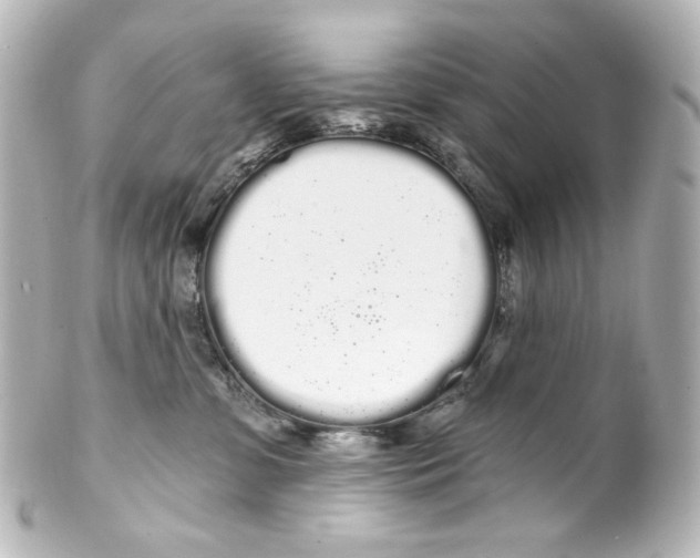 X0000100200331200806271647