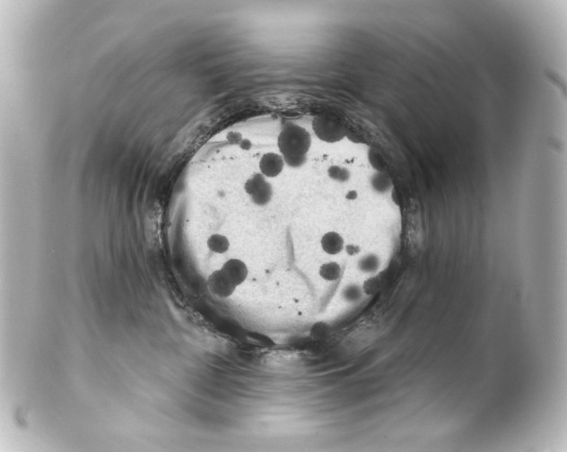 X0000100200332200806271647