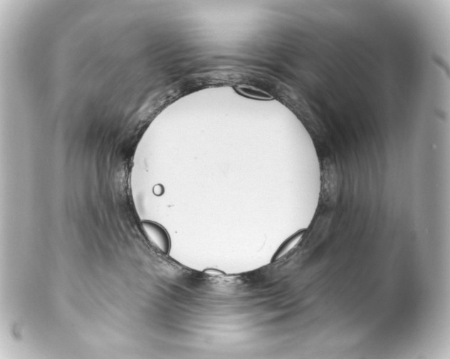 X0000100200333200806271647