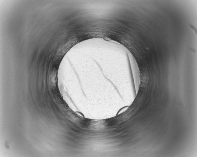 X0000100200334200806271647