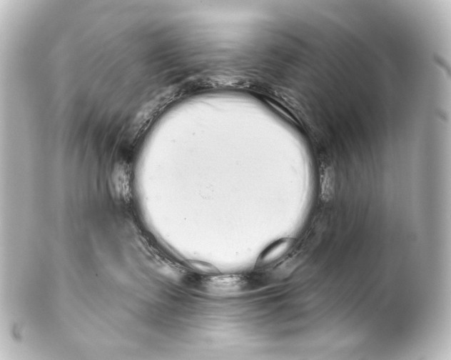 X0000100200335200806271647