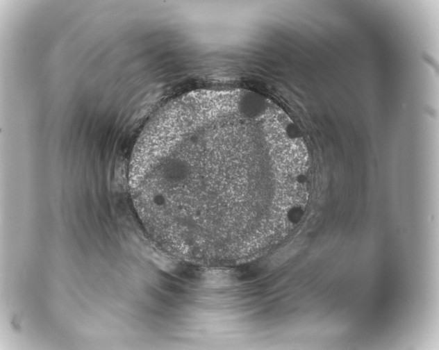 X0000100200336200806271647