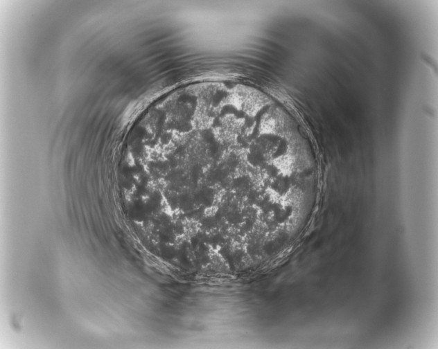 X0000100200337200806271646