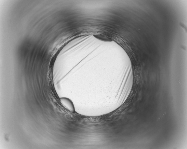 X0000100200338200806271646