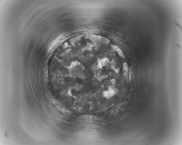 X0000100200339200806271646