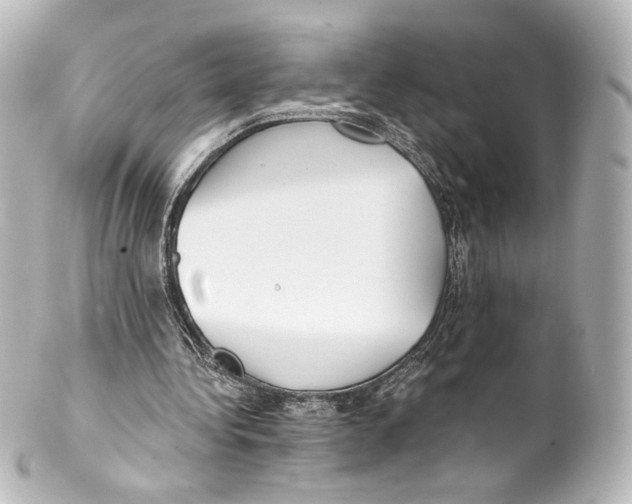 X0000100200340200806271646