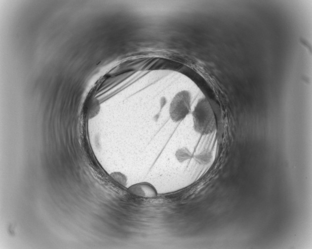 X0000100200342200806271646