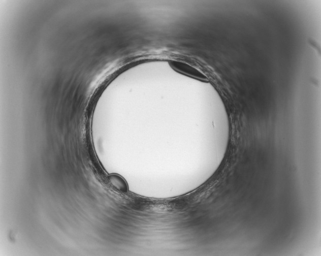 X0000100200344200806271646