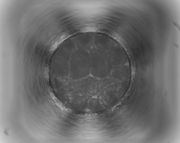 X0000100200345200806271646