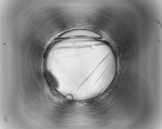 X0000100200346200806271646