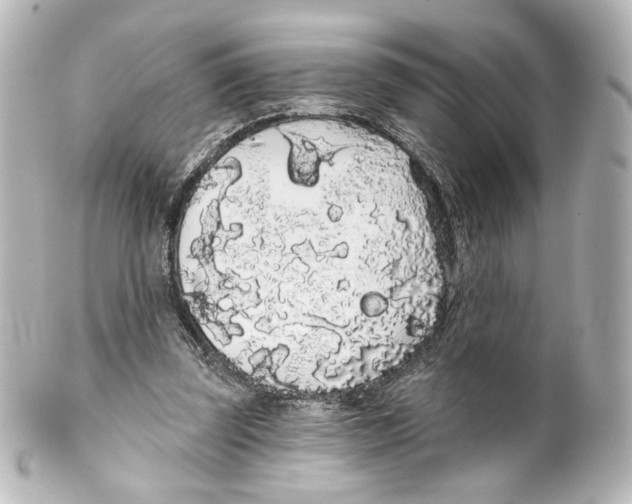 X0000100200347200806271646