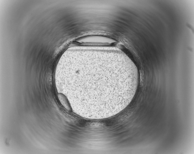 X0000100200348200806271646