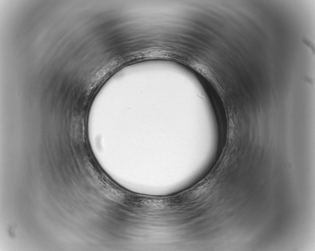 X0000100200349200806271646