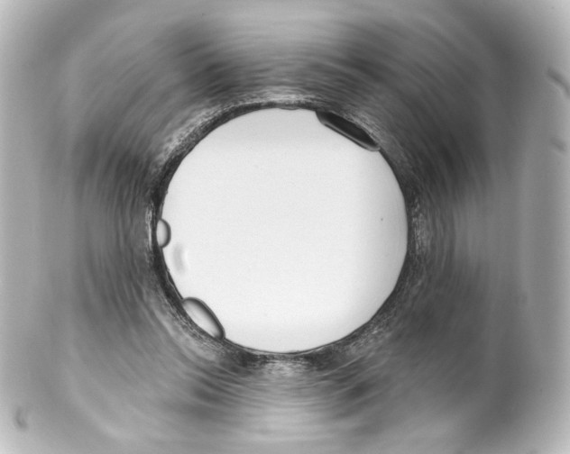 X0000100200350200806271646