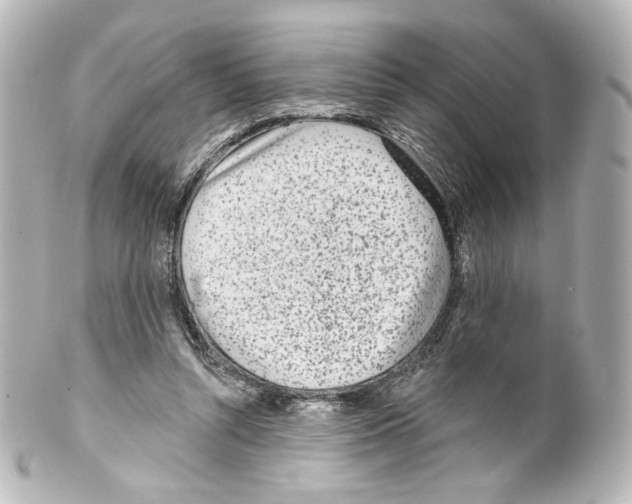 X0000100200352200806271647