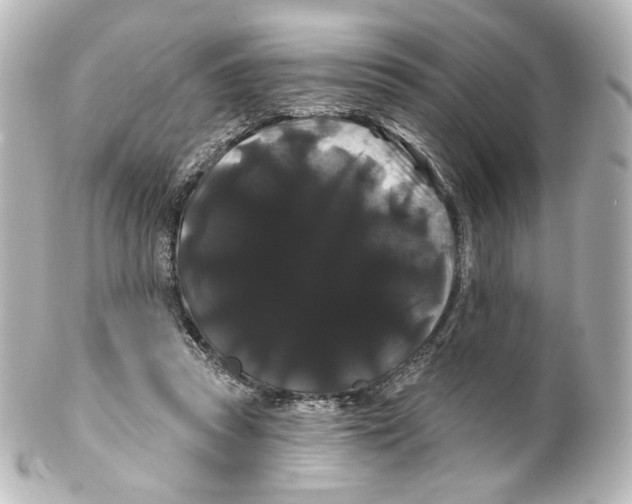 X0000100200353200806271647