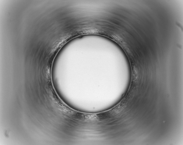 X0000100200355200806271647