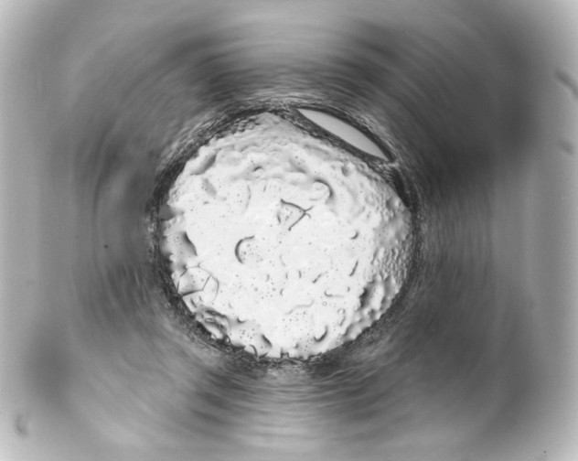 X0000100200357200806271647