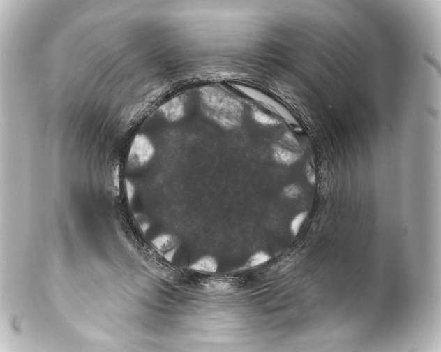 X0000100200358200806271647