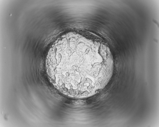 X0000100200359200806271647