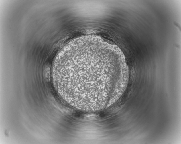 X0000100200360200806271647