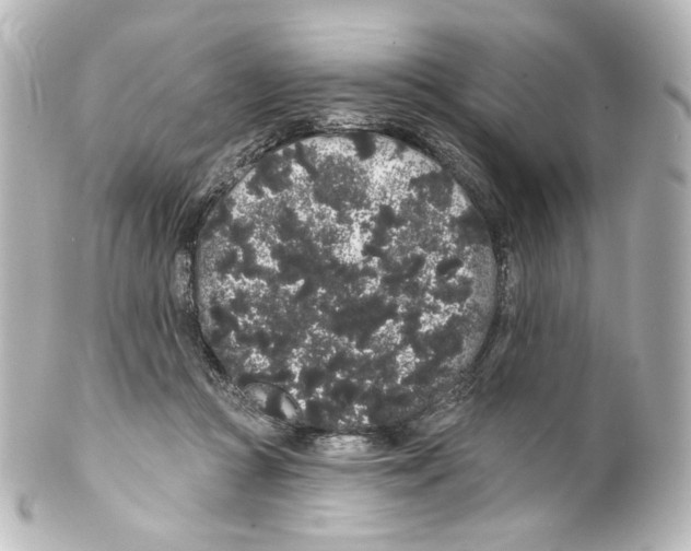 X0000100200361200806271647