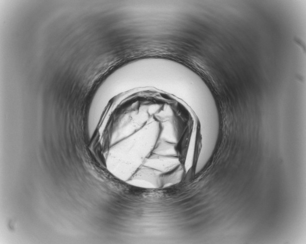 X0000100200362200806271647