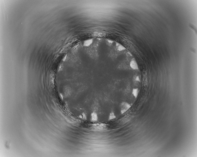 X0000100200363200806271647