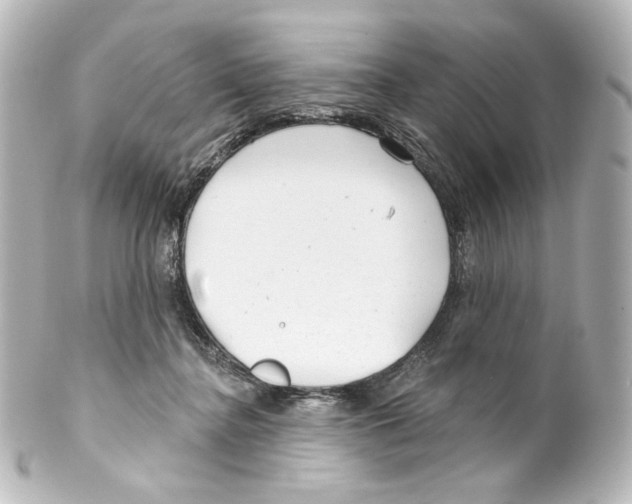 X0000100200364200806271647