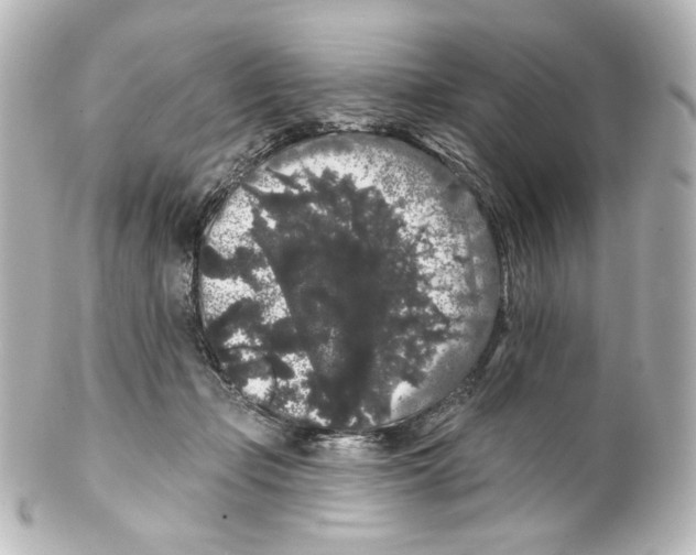 X0000100200365200806271647