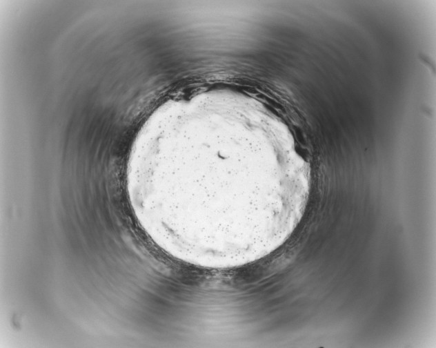 X0000100200366200806271647