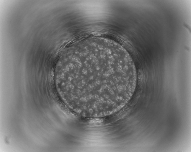 X0000100200369200806271647