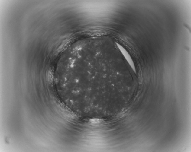 X0000100200371200806271647