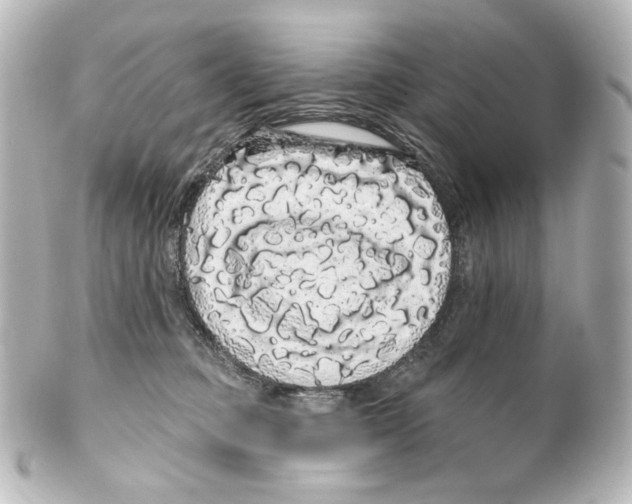 X0000100200373200806271647