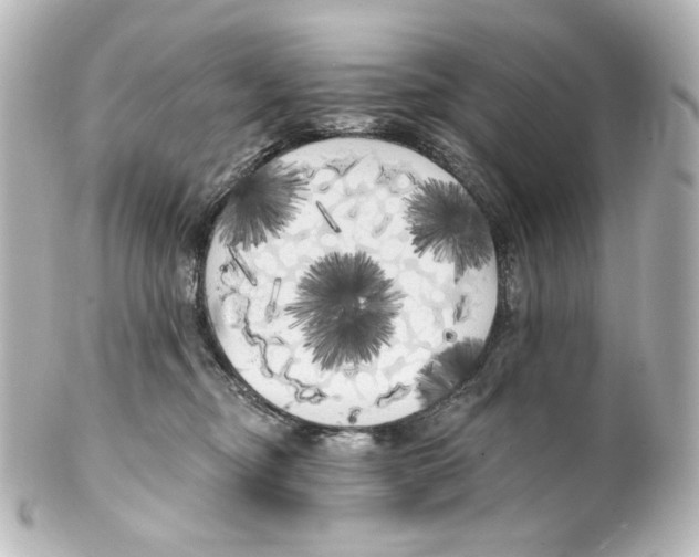 X0000100200374200806271647