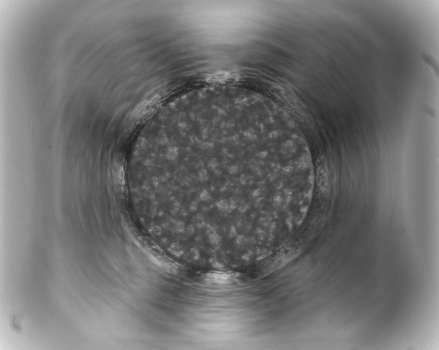 X0000100200375200806271647