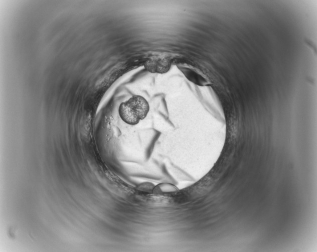 X0000100200376200806271647