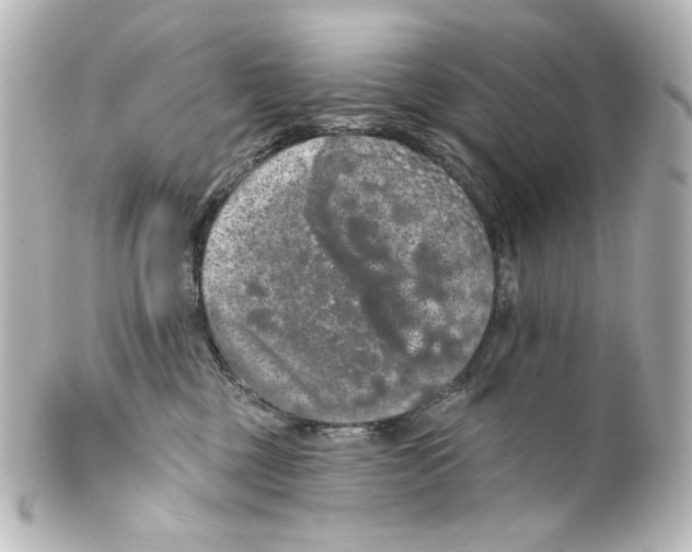 X0000100200377200806271647