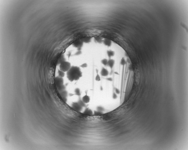 X0000100200378200806271647