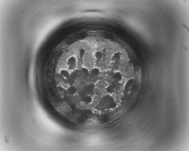 X0000100200381200806271647