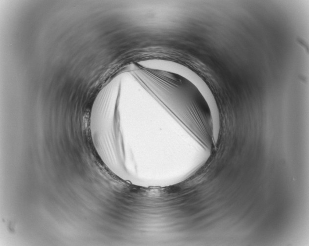 X0000100200382200806271647