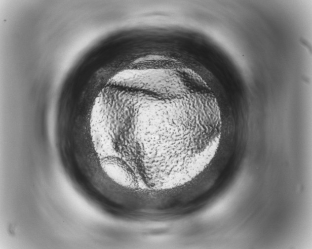 X0000100200383200806271647