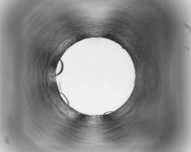 X0000100200384200806271647