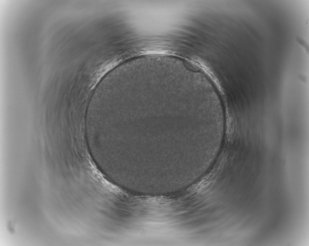 X0000100200385200806271646