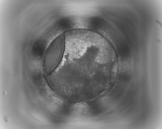 X0000100200386200806271646