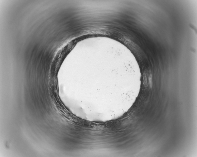 X0000100200388200806271646