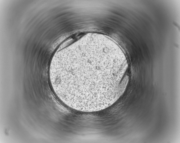 X0000100200389200806271646