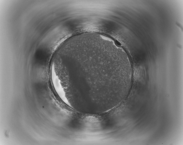 X0000100200390200806271646