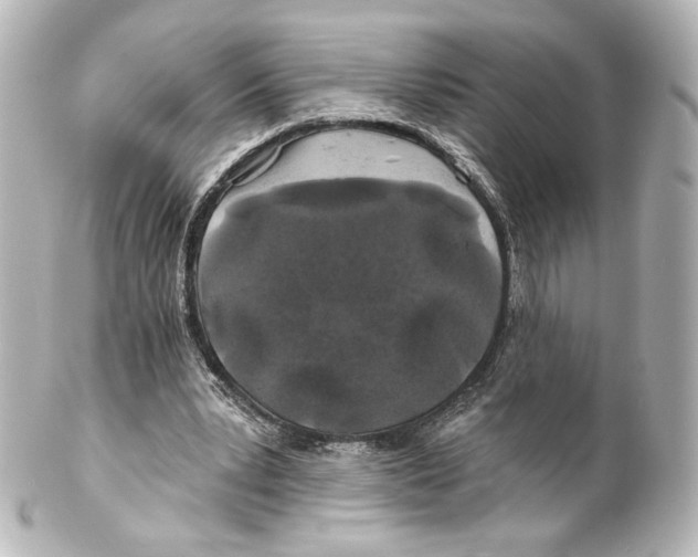 X0000100200391200806271646